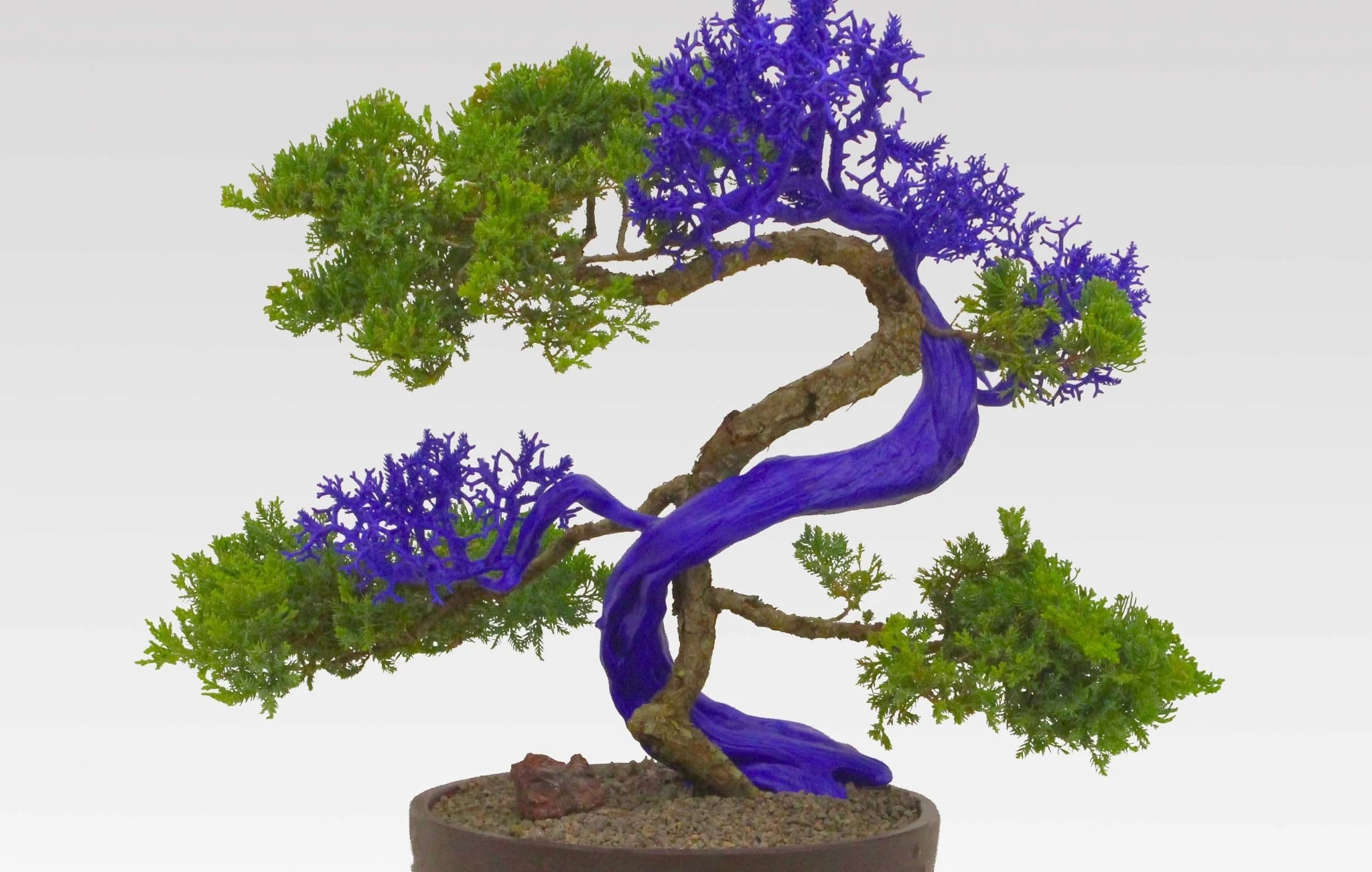 A bonsai-like tree sculpture with a twisting trunk and branches partially coated in vivid purple material, contrasting with natural green foliage, set against a plain light background. Work by Agnieszka Kurant
