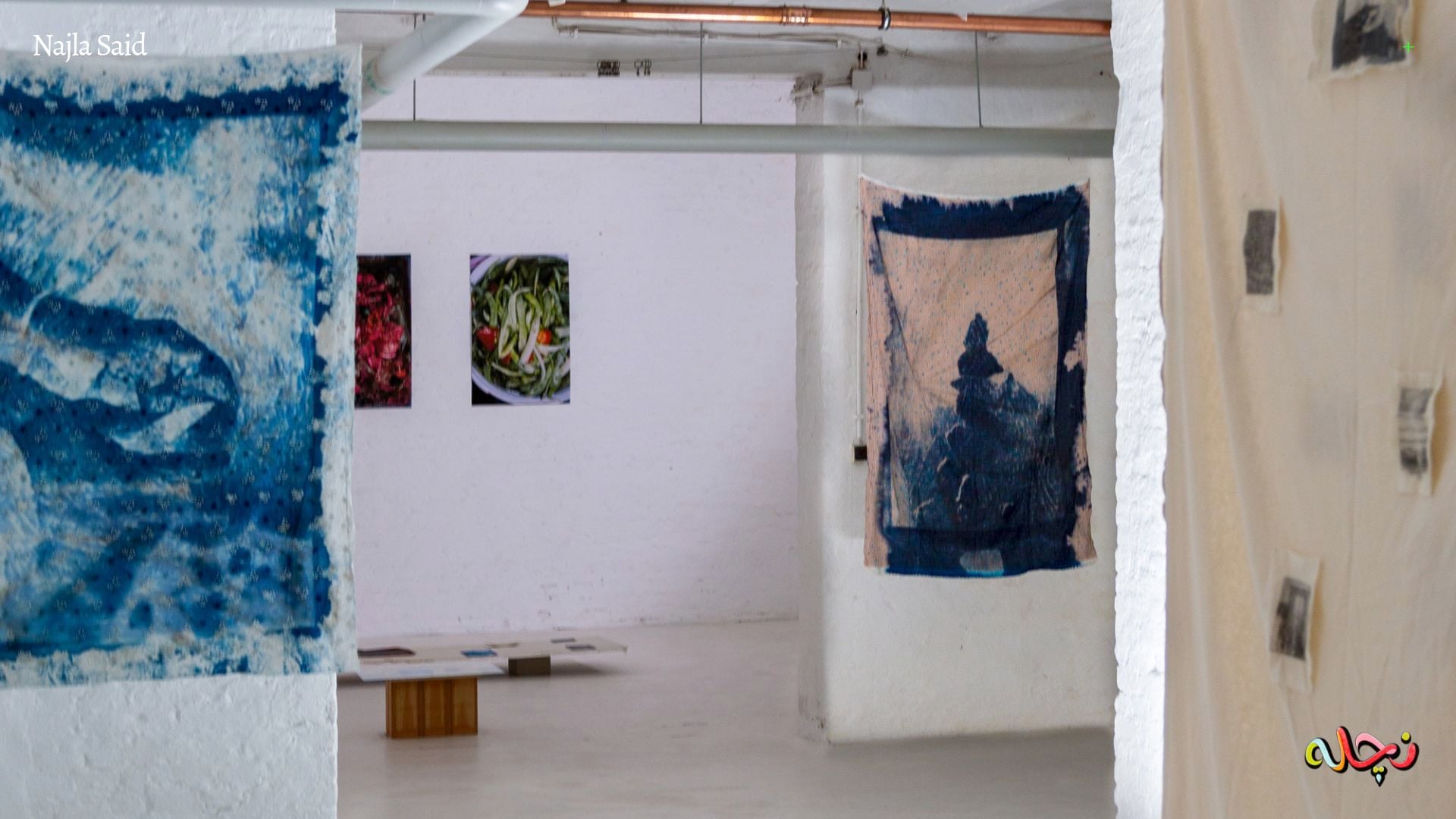 Najla Said: Contemporary visual artist exploring identity and memory