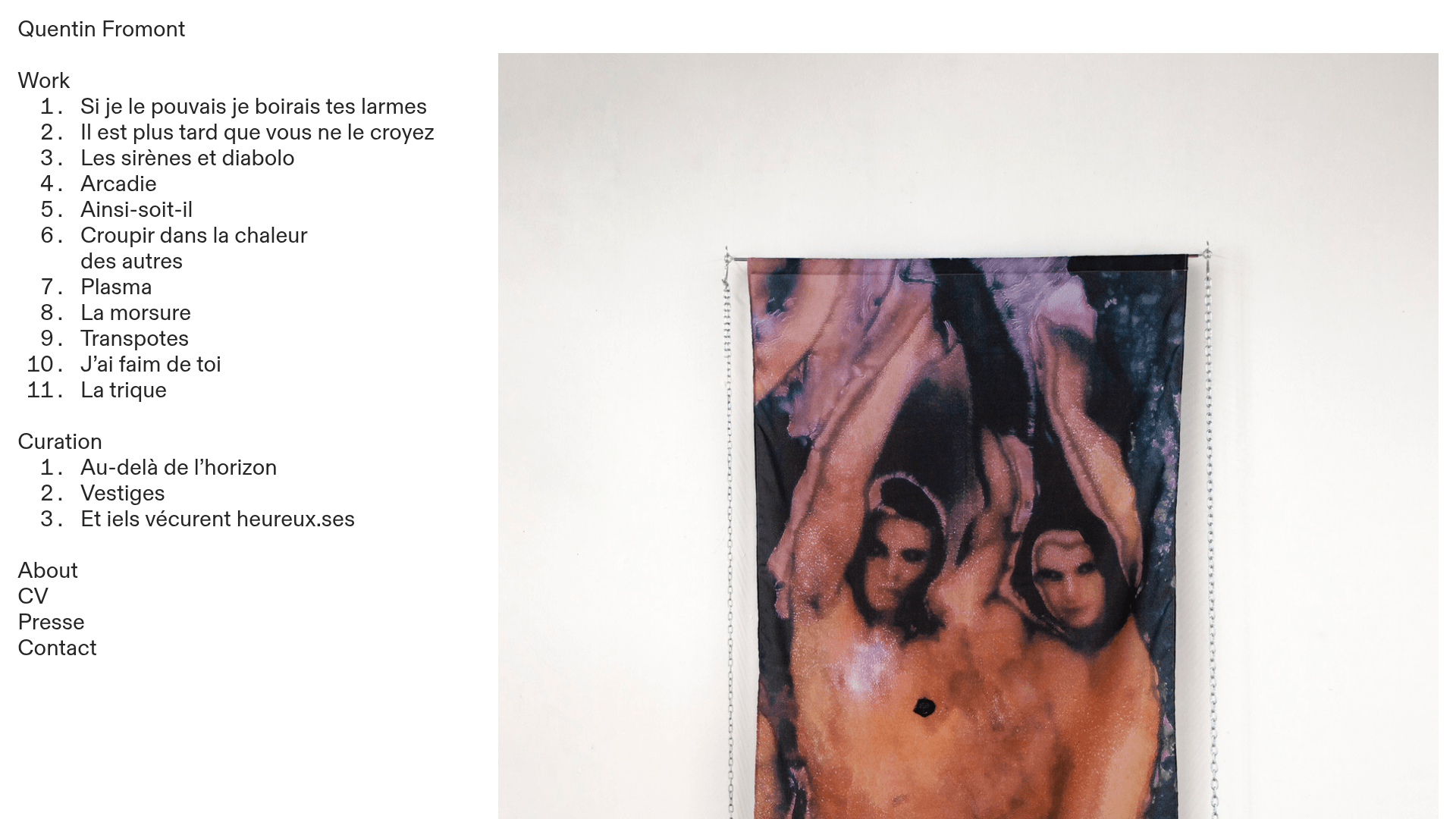 Quentin Fromont Visual Artist and Curator