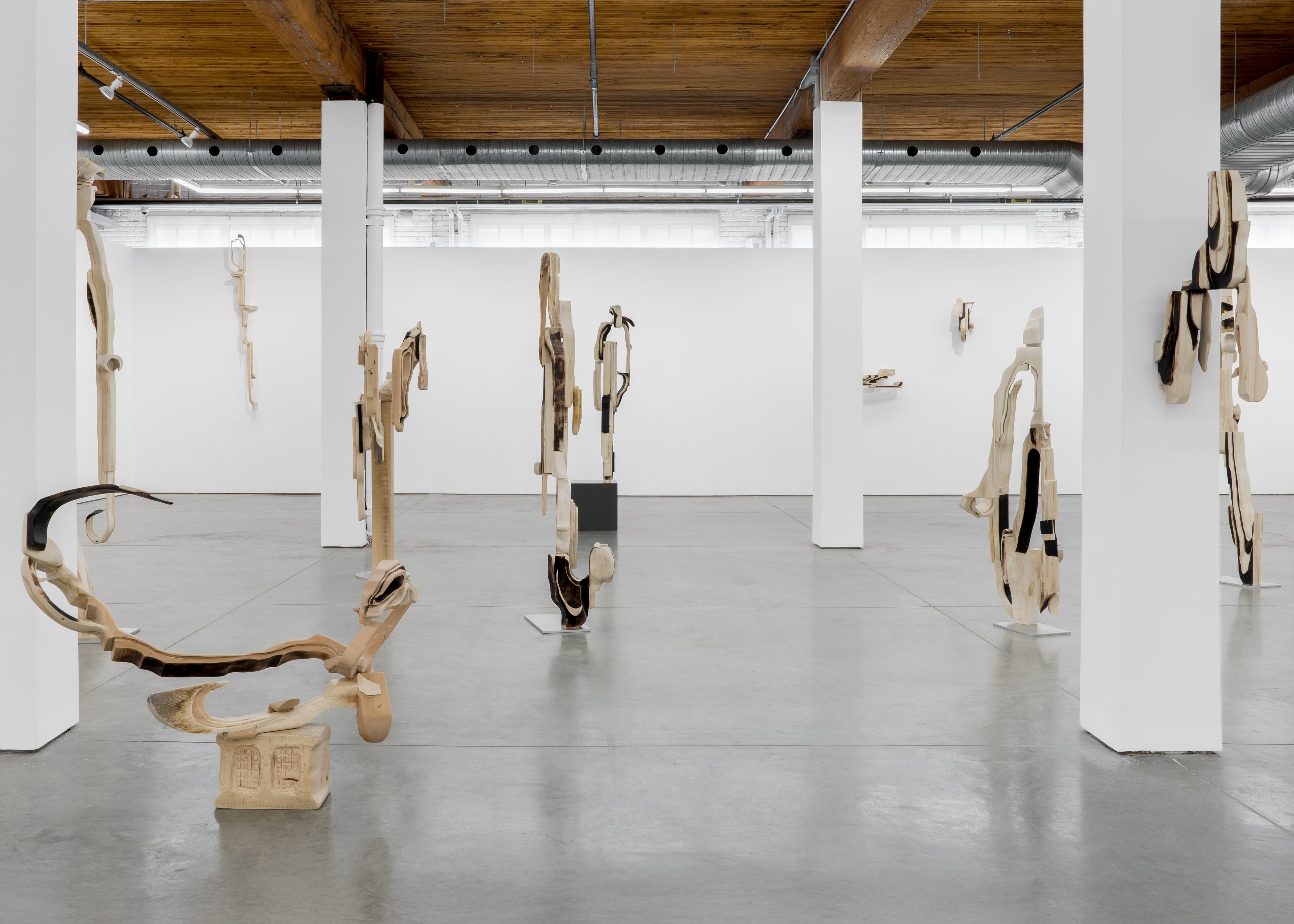 Bradley Ertaskiran Contemporary Art Gallery and Artist Representation