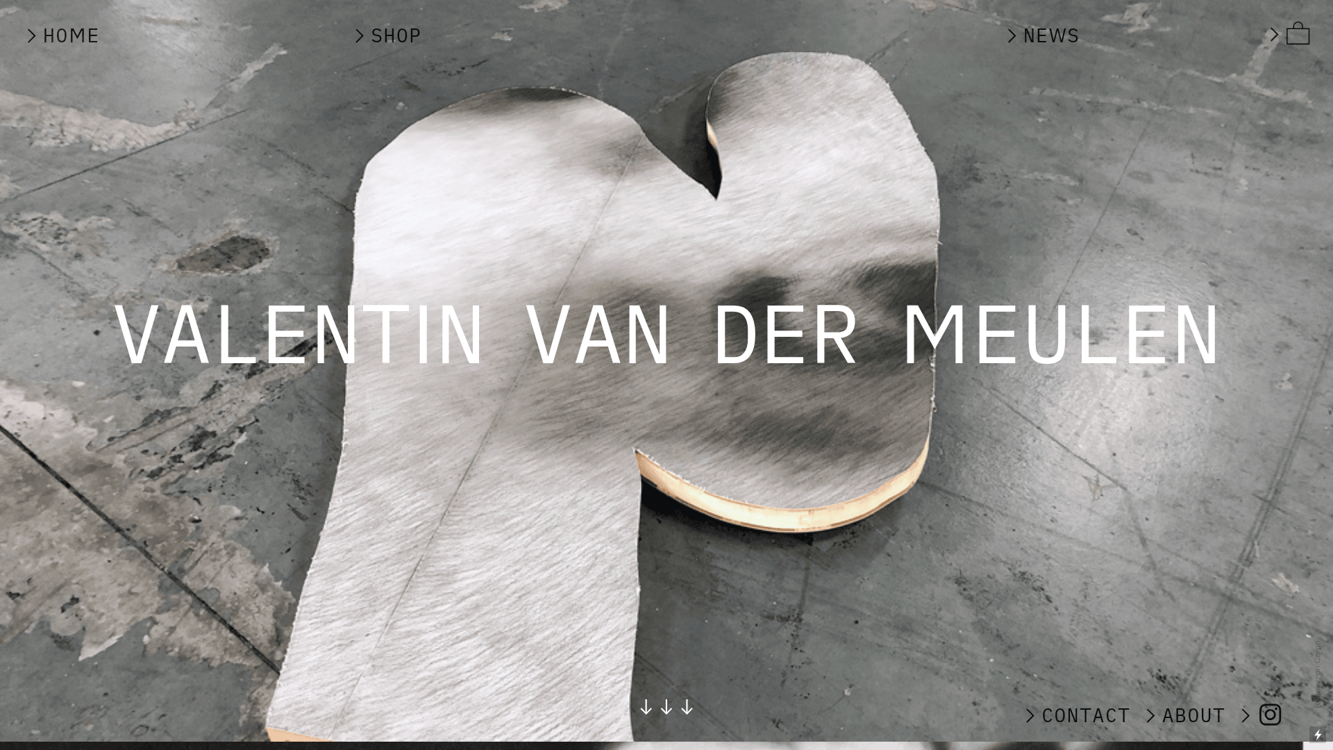 Valentin van der Meulen: Contemporary Artist and Charcoal Drawing Specialist